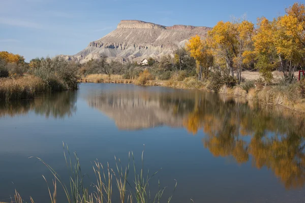 Mt. Garfield spiegelt sich im Teich lizenzfreie Stockfotos