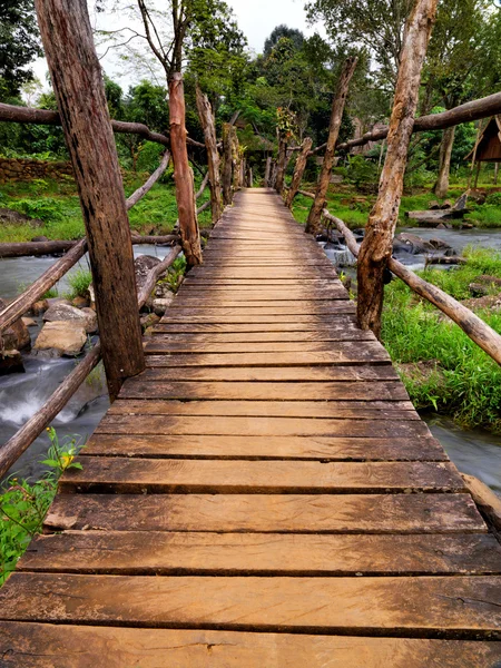 Bridge to the jungle — Stock Photo, Image