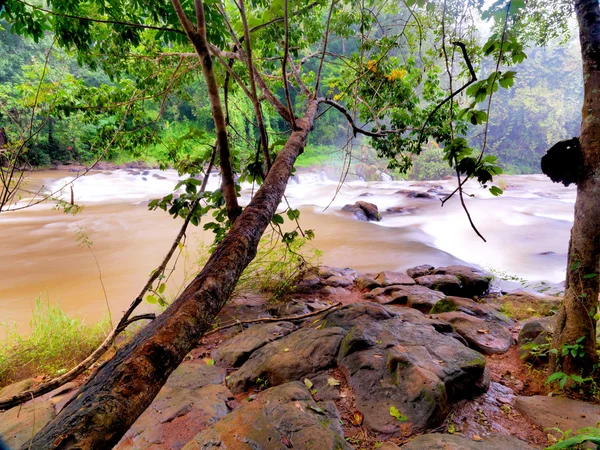 Вода падает над скалами в лесу — стоковое фото