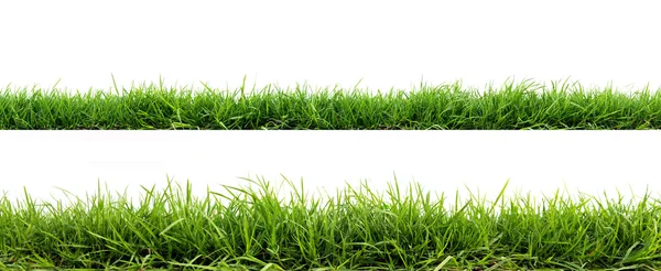 stock image Fresh spring green grass