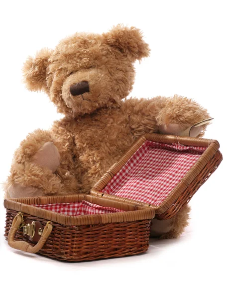 Picknick mit Teddybären — Stockfoto