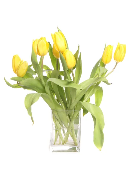 Tulipas amarelas em um vaso — Fotografia de Stock