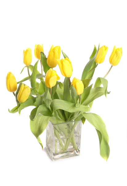 花瓶里的黄色郁金香 — 图库照片