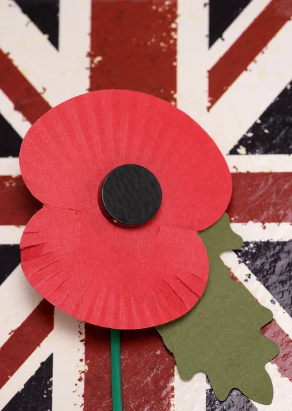 Remembrance day poppy — Stock Photo, Image