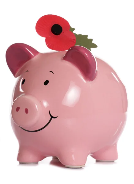 Giving to poppy appeal — Stock Photo, Image