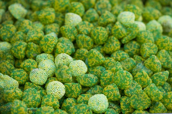 Grön och gul godis — Stockfoto