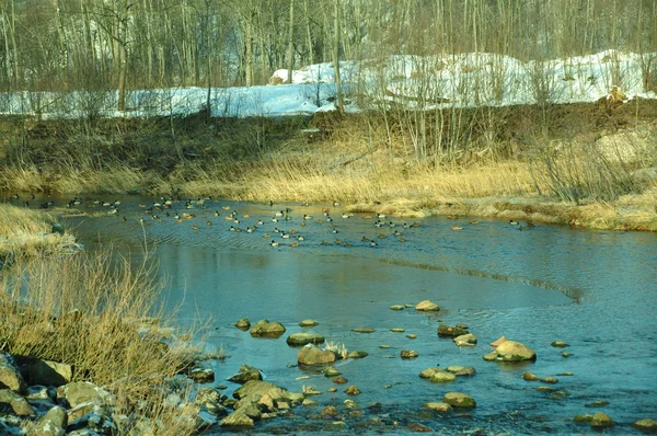 Kleine rivier in de winter — Stockfoto