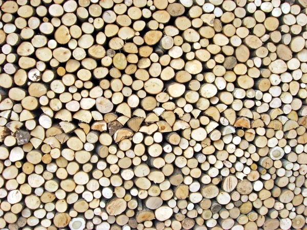 Capannone di tronchi — Foto Stock