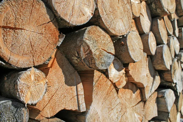 Logs cortar um enorme verão ao ar livre Woodshed — Fotografia de Stock