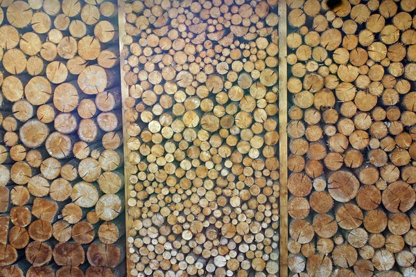 Tagliare tronchi d'albero formando una enorme legnaia esterna — Foto Stock