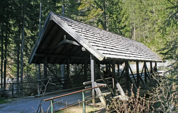 Puente de madera suspendido en un vacío en medio del bosque —  Fotos de Stock
