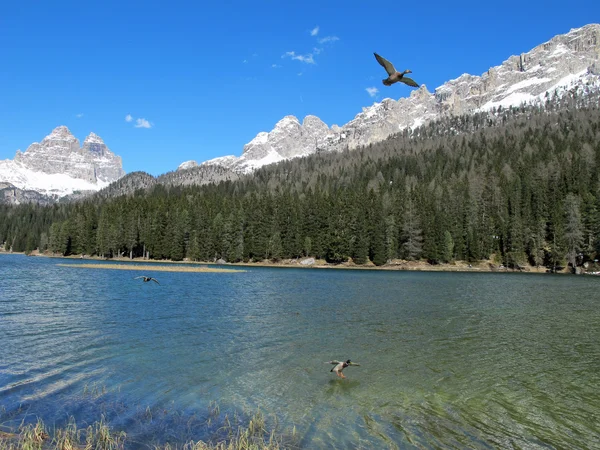 Lago Alpino Congelado Misurina con montañas de dolomiti — Foto de Stock