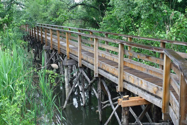 Drewniane promenady ścieżka dydaktyczna w parku przyrody — Zdjęcie stockowe