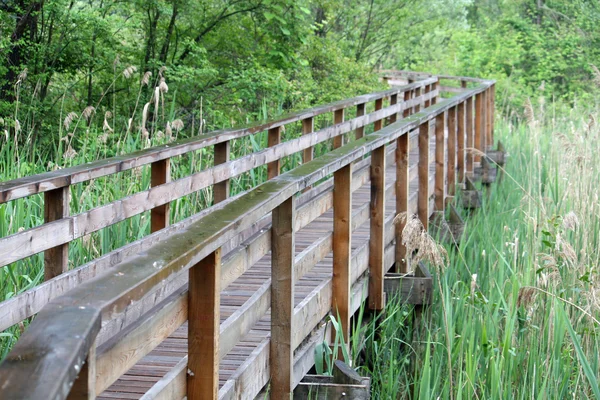 Boardwalk nature trail in a nature park — Stock Photo, Image