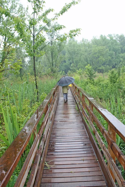Niño camina bajo el paraguas en una pasarela de madera — Foto de Stock
