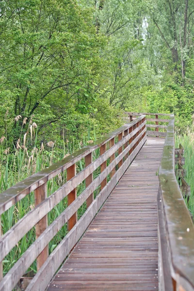 Wooden boardwalk nature trail in a nature park — Stock Photo, Image