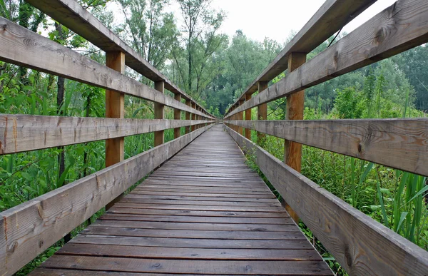 Wooden boardwalk nature trail in a nature park — Stock Photo, Image