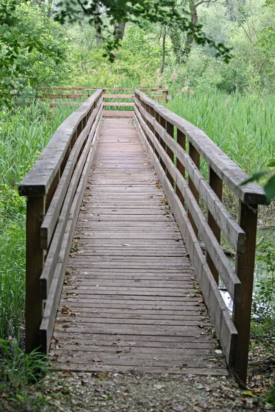 Drewniane promenady ścieżka dydaktyczna w parku przyrody — Zdjęcie stockowe
