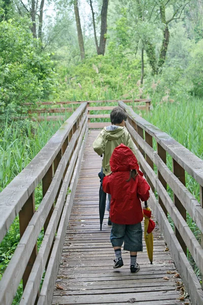 Children who walk the nature trail in a nature park — Zdjęcie stockowe