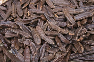 Background of brown locust for sale clipart