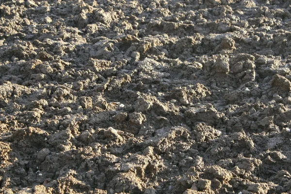 Campo arato con ciuffi di terra — Foto Stock