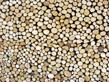 Shed of logs clipart