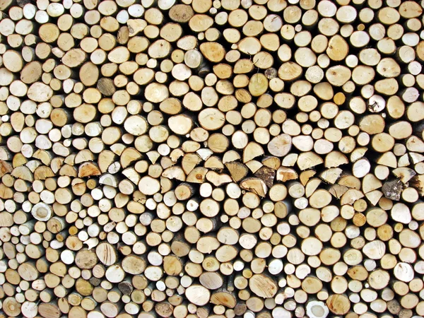 stock image Shed of logs