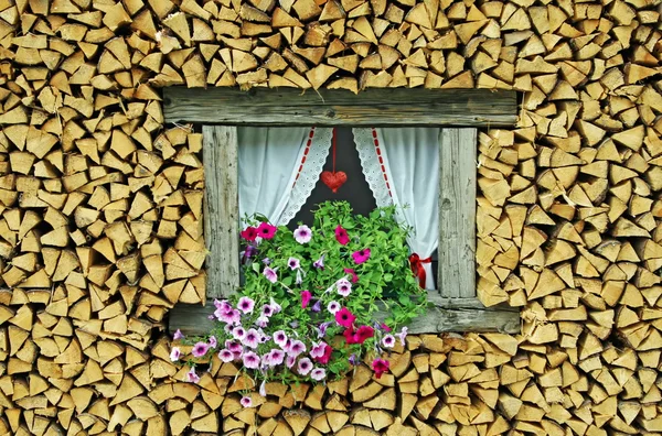 stock image Ledge of a window surrounded by flowers freshly cut wood