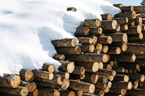 Stapeln von Baumstämmen, die von Holzfällern im Schnee in den Bergen geschnitten wurden — Stockfoto
