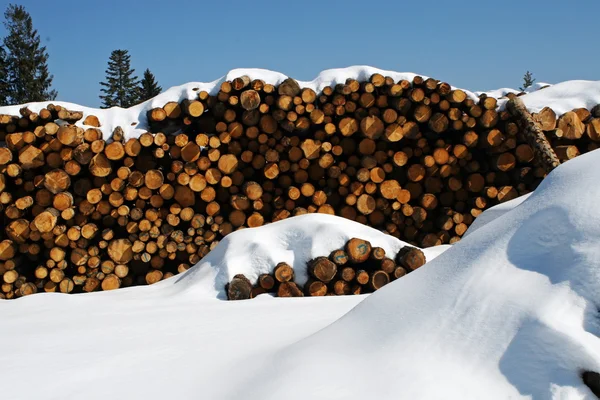Stapeln von Baumstämmen, die von Holzfällern im Schnee in den Bergen geschnitten wurden — Stockfoto