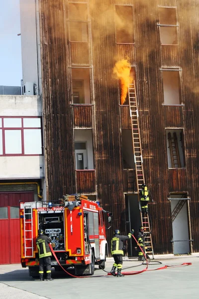 消防士は訓練演習中に火災の危険性を消滅 — ストック写真