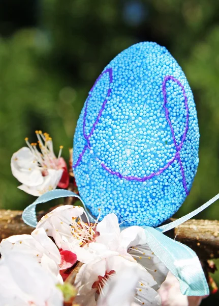 Blue easter egg and white flowers bloom in spring — Stock Photo, Image