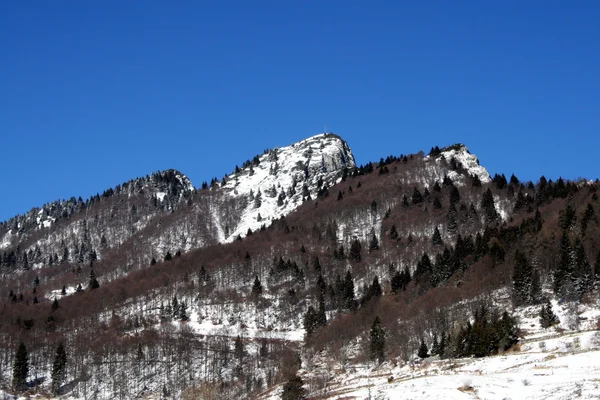 山景观与雪和冬天的树 — 图库照片