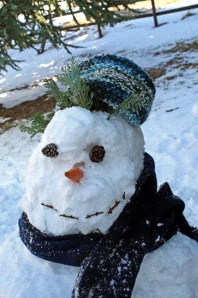 Muñeco de nieve construido para el juego de los niños en invierno en las montañas —  Fotos de Stock