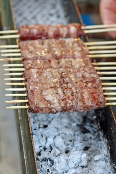 Kebabs de cordeiro e vitela cozidos grelhados na saliva — Fotografia de Stock