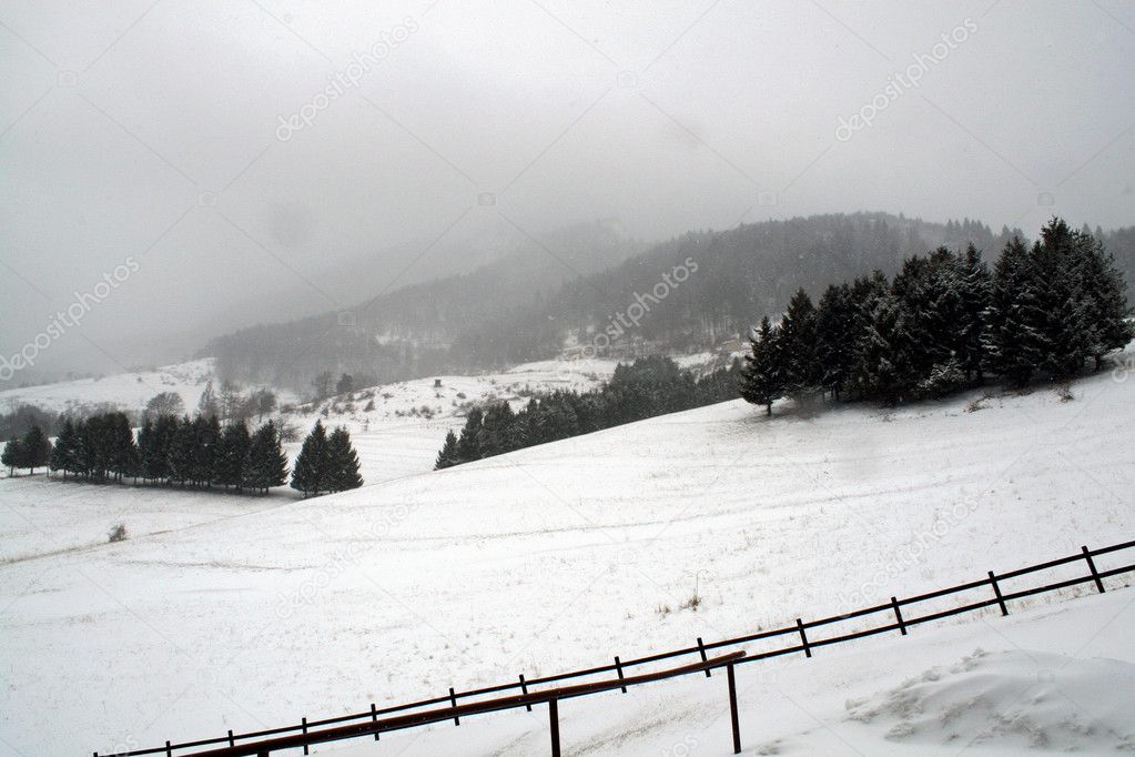 Mountain landscape with snow and trees in winter during snowstorm