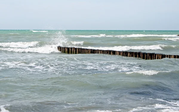 Fence with wooden posts chestnut to defend the coast — Stock Photo, Image