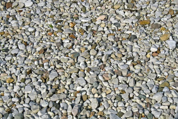 Ghiaia e pietre in un giardino pieno di ciottoli — Foto Stock