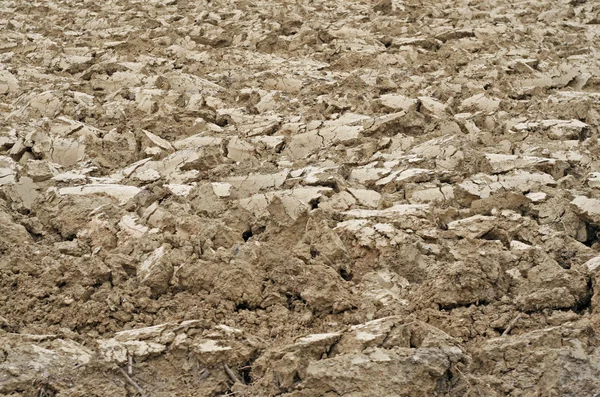 Hnědé hroudy zeminy v poli jen pluh — Stock fotografie