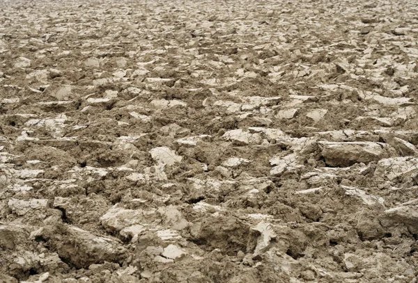 Bruin kluiten van akkerbouwgewassen veld — Stockfoto