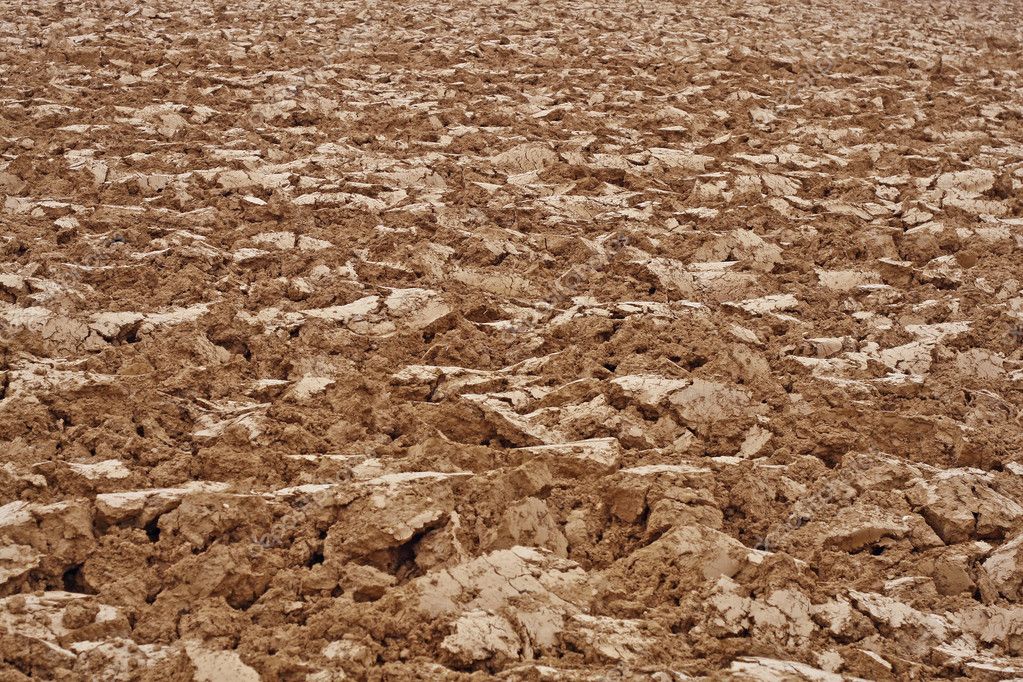 https://static8.depositphotos.com/1220004/960/i/950/depositphotos_9604544-stock-photo-brown-clods-of-earth-in.jpg