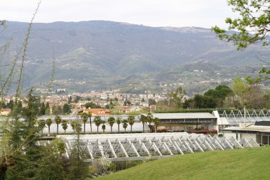 marostica ve kış bahçesinde çiçek yakın İtalyan hills