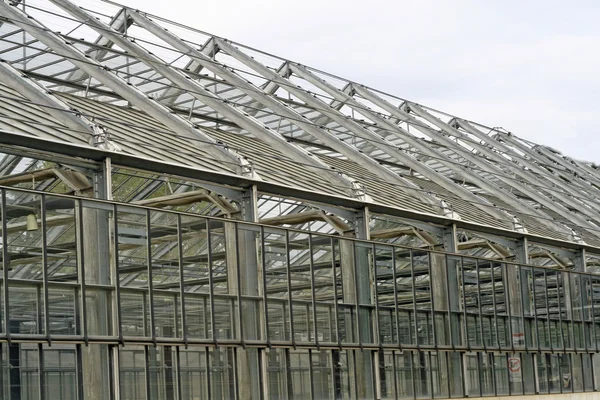 Serra in acciaio e vetro per piante in crescita — Foto Stock