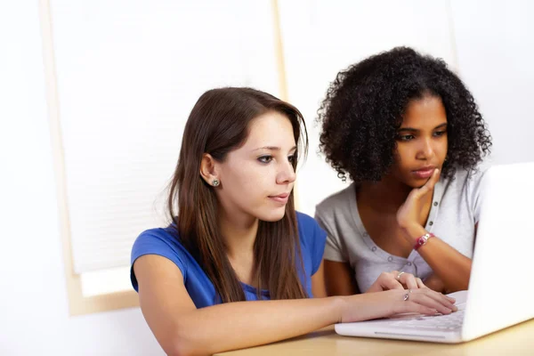Girls using a laptop — Stock Photo, Image