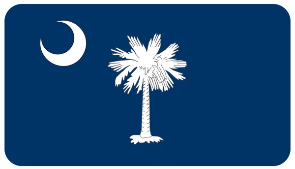 Flaga stanowa Karoliny Południowej — Zdjęcie stockowe