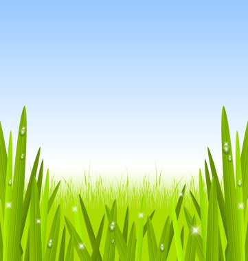 Morning grass clipart