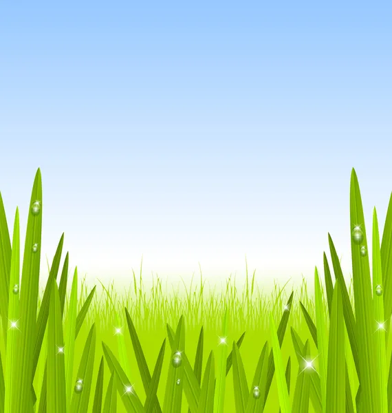 Morgon gräs — Stock vektor