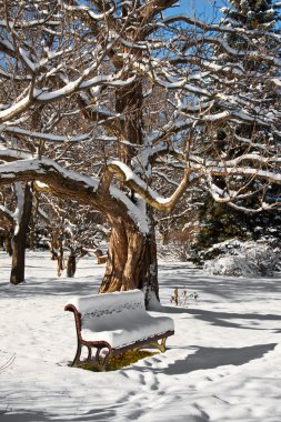Place of meditation in winter clipart