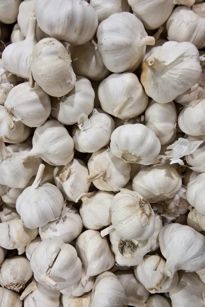 Garlic background — Stock Photo, Image