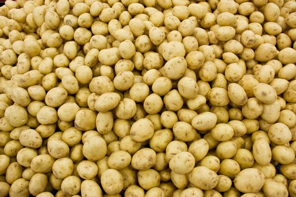 Potatoes raw background. — Stock Photo, Image